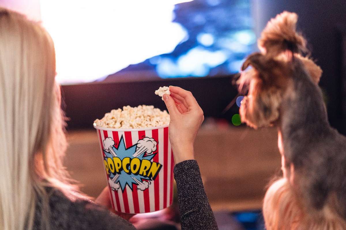 watch movies online